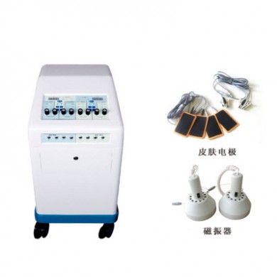 低频治疗仪（双通道） N-6100型_简介