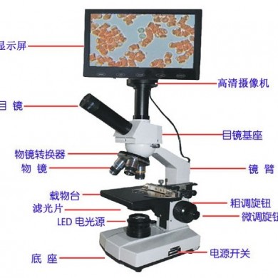 一滴血细胞检测仪_简介