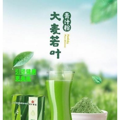 大麦若叶青汁固体饮料代理OEM定制_简介