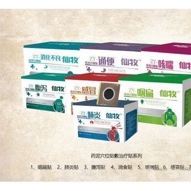 穴位贴敷、治疗贴、药泥贴_简介