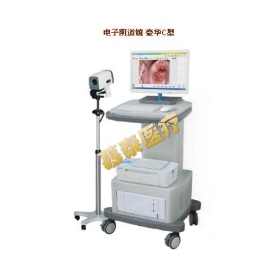 电子阴道镜（LJ-6000C型）（豪华型）_简介
