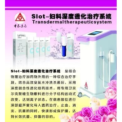 SLOT妇科深度透化治疗系统_简介