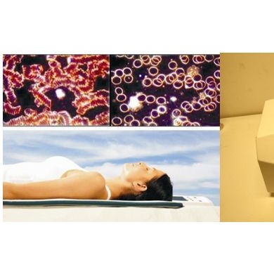 维特拉Vitala脉冲磁共振治疗技术_简介