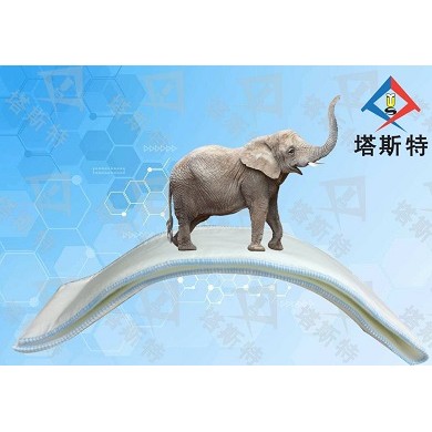 急救型骨科外用医用高分子夹板_简介