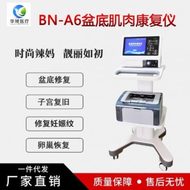 产后康复综合治疗仪_简介
