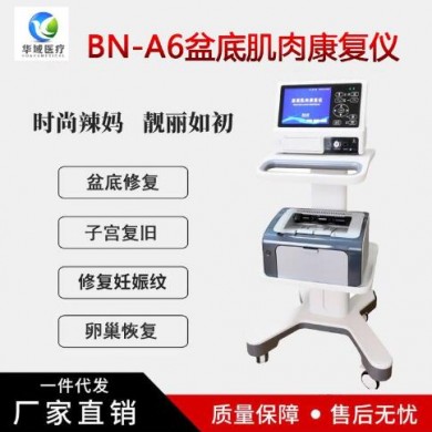盆底肌肉康复治疗仪_简介