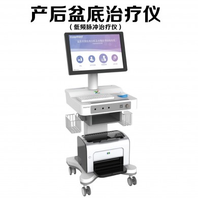 盆底肌康复治疗仪_简介