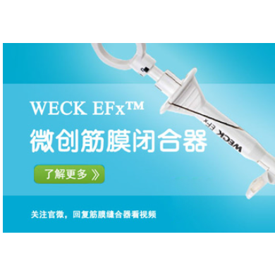 Teleflex WECK EFx Endo微创筋膜闭合器_简介