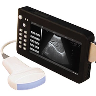 凯尔KR-2088V掌上兽用B超_简介