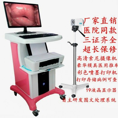 数码电子阴道镜_简介