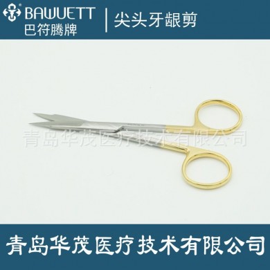 尖头牙龈剪_简介