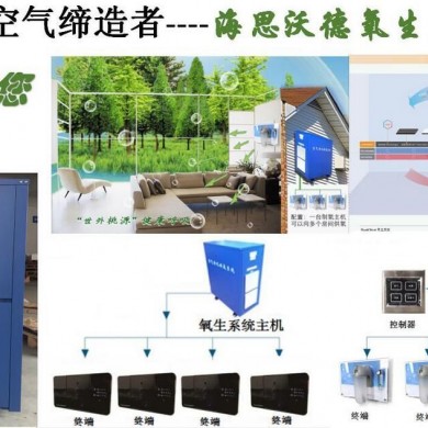 海思沃德氧生系统/空气净化/负氧离子_简介
