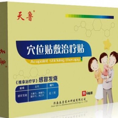 穴位贴敷治疗贴(感冒发烧)_简介