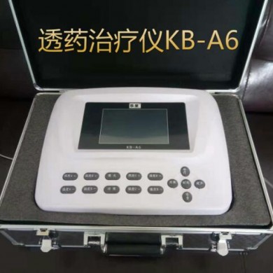 中医定向脉冲治疗仪_简介