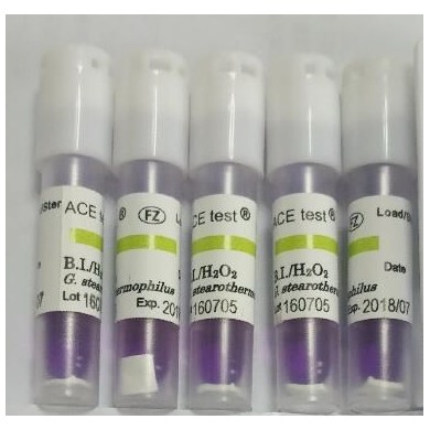 ACE爱斯过氧化氢灭菌用生物指示剂H3725T_简介
