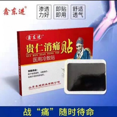 贵仁消痛贴_简介
