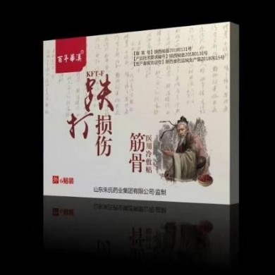 医用冷敷贴（跌打损伤）_简介