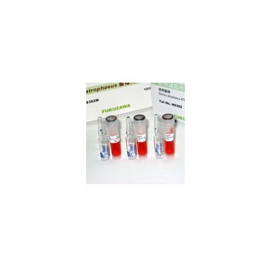 ACE爱斯干热灭菌用生物指示剂H6302K_简介