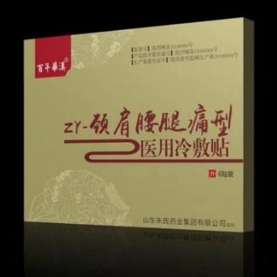 医用冷敷贴 颈肩腰腿痛_简介