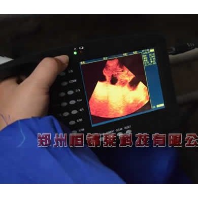 小型猪用B超机_简介