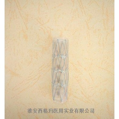 CZTS覆膜气管支架_简介