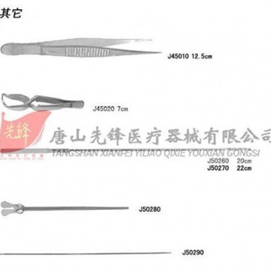 刺探针_简介