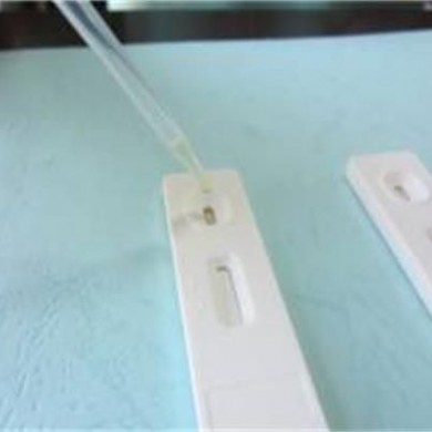 玉米赤霉烯酮定量检测卡_简介