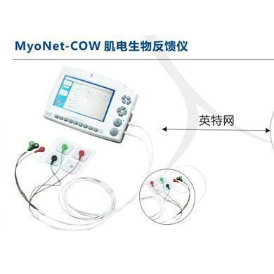 肌电生物反馈仪_简介