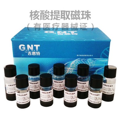 核酸提取磁珠_简介