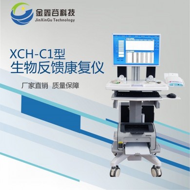 妇科产后恢复盆底康复治疗仪_简介