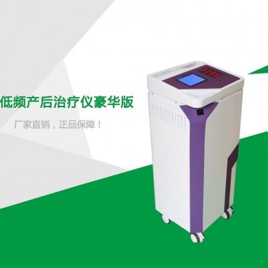低频电子脉冲治疗仪_简介