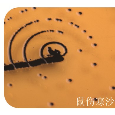 SS琼脂培养基_简介