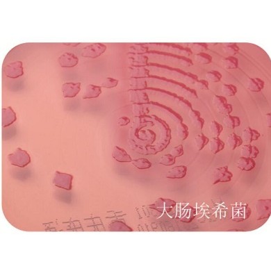 MAC麦康凯琼脂培养基_简介