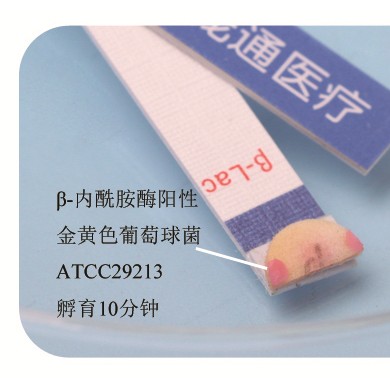 β-内酰胺酶试验试剂_简介