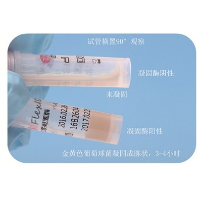 血浆凝固酶试验试剂_简介