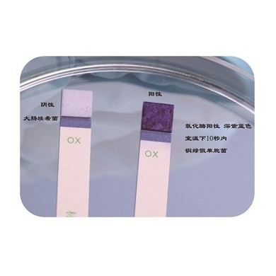 氧化酶试验试剂_简介