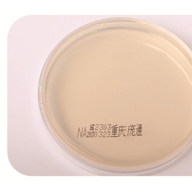 营养琼脂培养基_简介