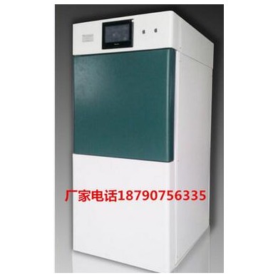 过氧化氢低温等离子灭菌柜80L 等离子医用低温快速灭菌器_简介