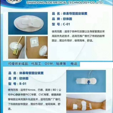 导管固定装置_简介