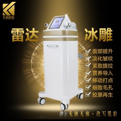 雷达冰雕_简介