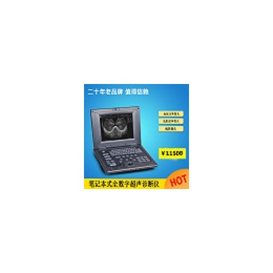 笔记本式兽用b超/母猪测孕仪/宠物b超_简介