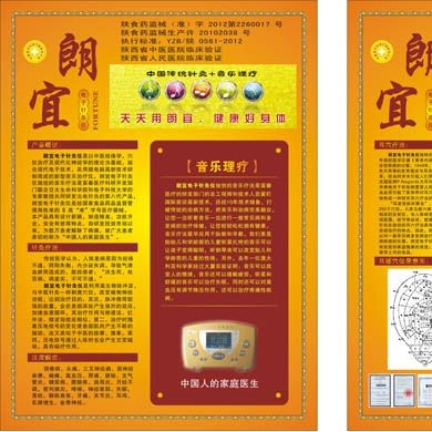 朗宜电子针灸仪_简介