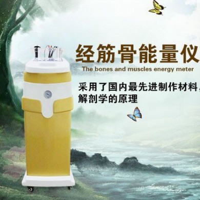 DDS生物电疗仪/多功能经筋骨能理仪_简介