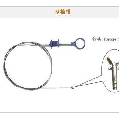 一次性活检钳_简介