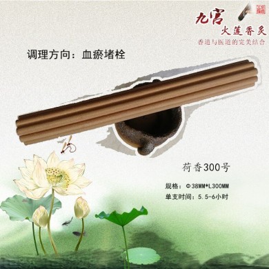 心脑血管灸/通用大灸荷香300_简介