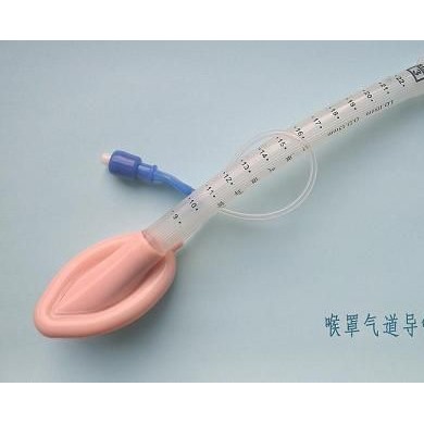 喉罩气道导管_简介