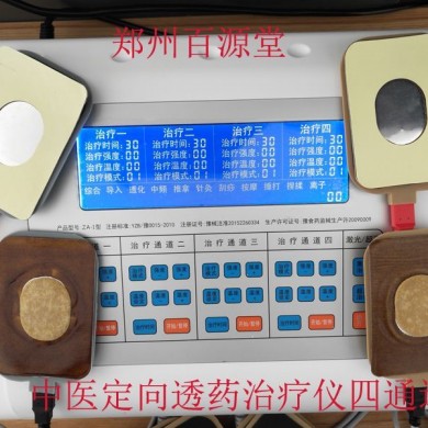 中医定向透药治疗仪/离子导入治疗仪_简介