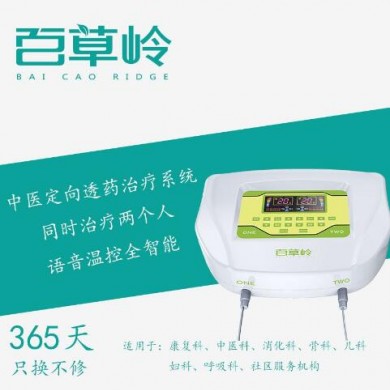 中医定向透药治疗设备,中频电离子导入治疗仪_简介