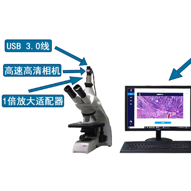 泰瑞镜下数字病理图像管理软件_简介