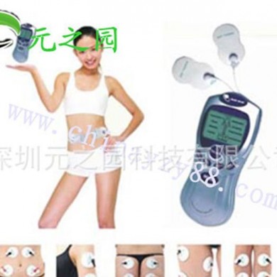经络理疗仪_简介